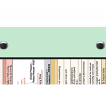 WhiteCoat Clipboard® - Mint Critical Care Edition